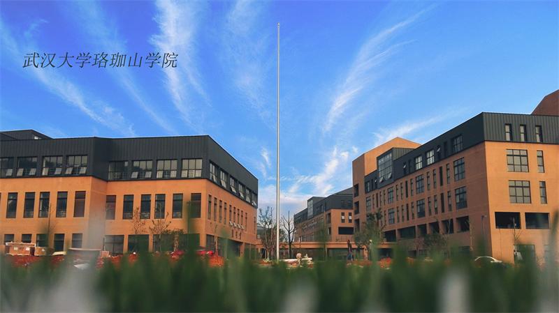 武漢大學(xué)